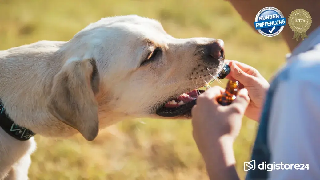bachblueten-fuer-hunde-ausbildung