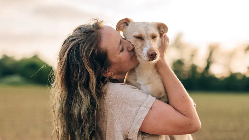 koerpersprache-hund-1