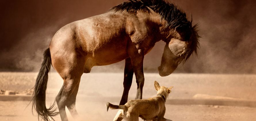 Ein Pferd und ein Hund stehen Seite an Seite in einer weiten Wüstenlandschaft